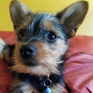 Meet your Posher, Lucia